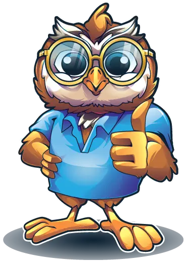 wijs-owl-contact Contact Wijs voor rijlessen via e-mail